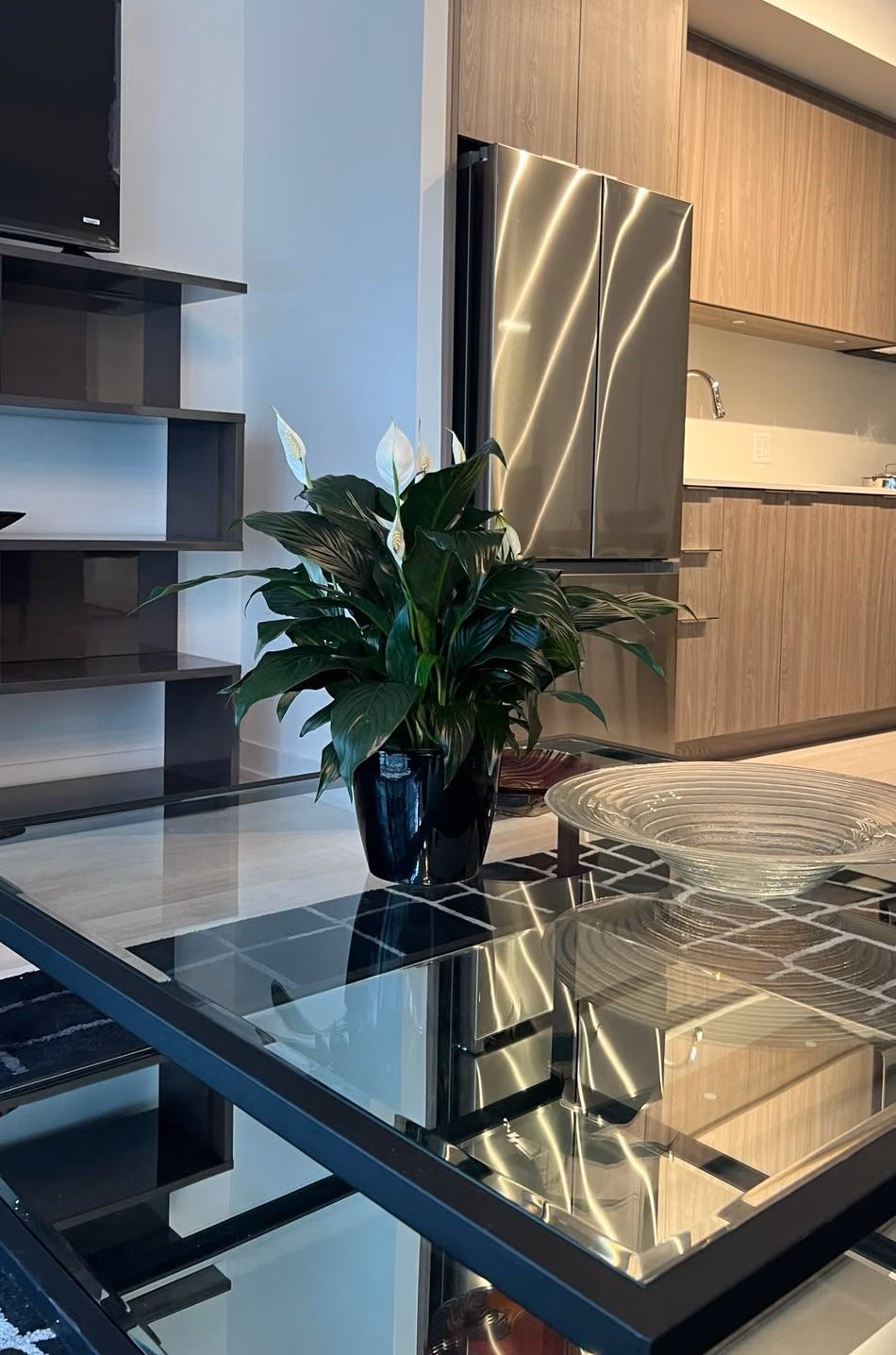 Glass table with plant and open shelving